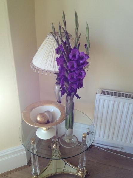 Number27Harrogate Bed and Breakfast Buitenkant foto